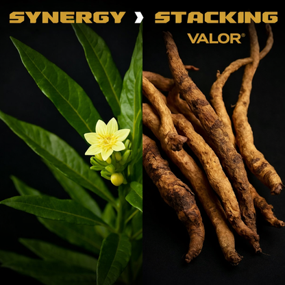 Valor Support Capsules - Tongkat Ali + Fadogia Agrestis